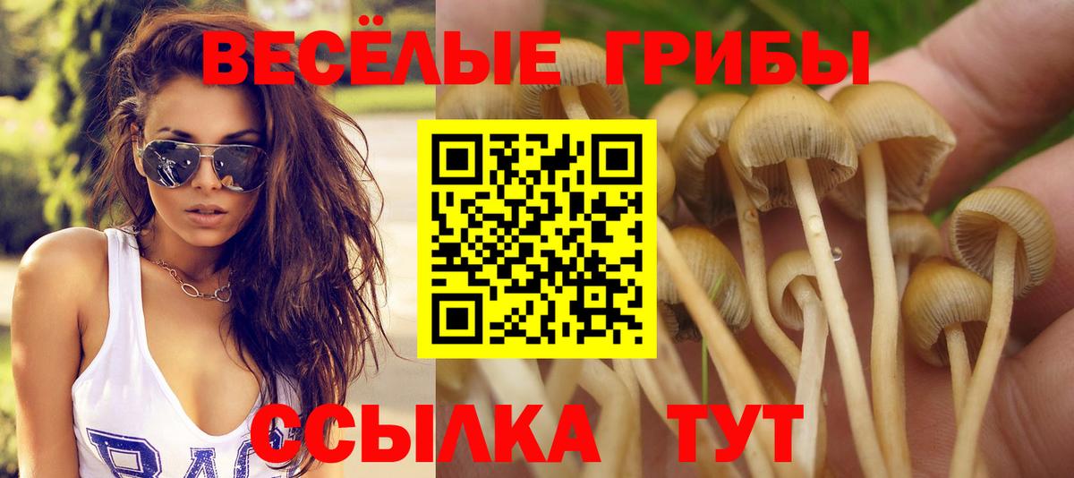 Галлюциногенные грибы ЛСД  Вход с VPN  Ейск 