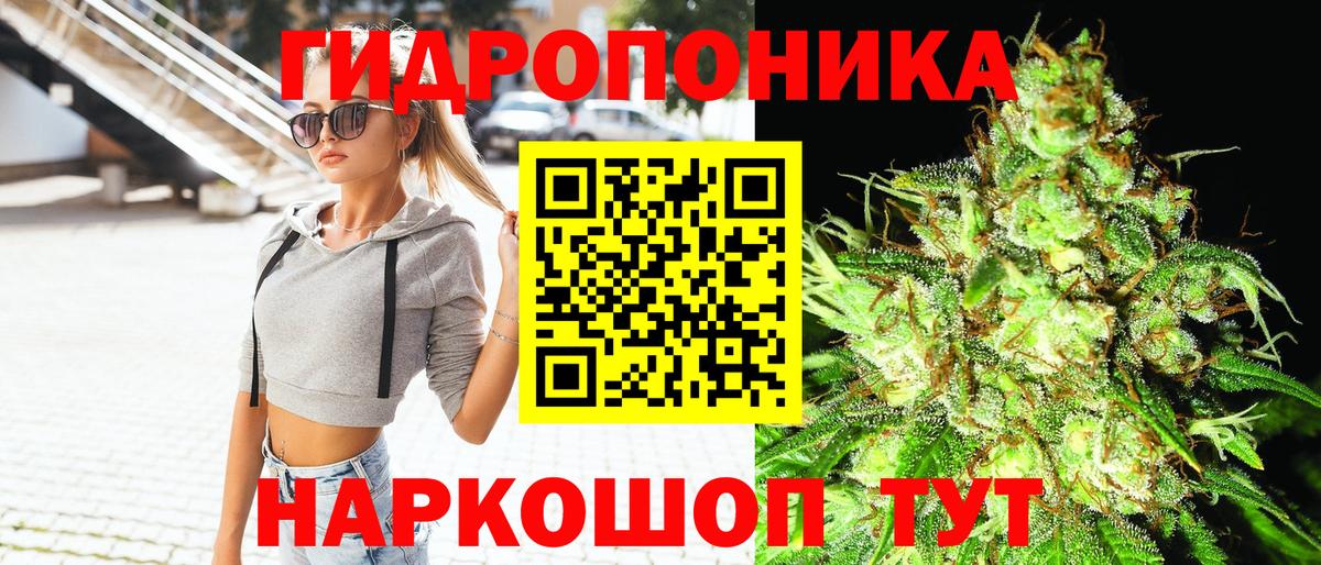 Ейск  Марихуана OG Kush  Вход с VPN  Канабис Bruce Banner 